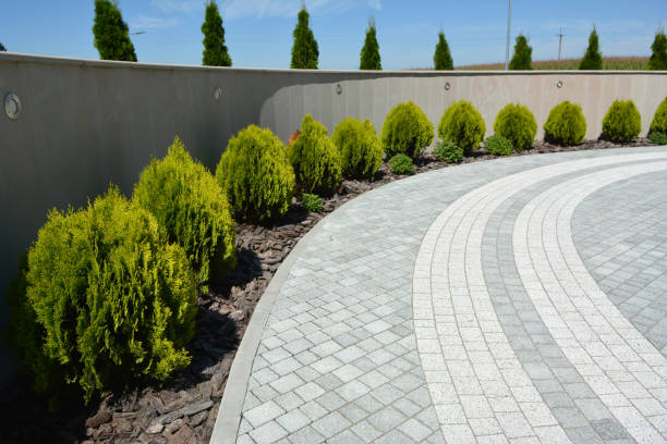 Best Residential Paver Driveway  in Poplar Plains, CT
